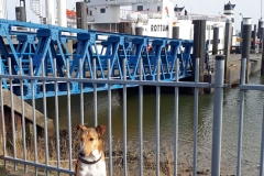 2019-03-02-Bild-06