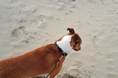 2019-03-02-Bild-23