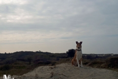2019-03-02-Bild-24