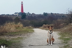 2019-03-02-Bild-26