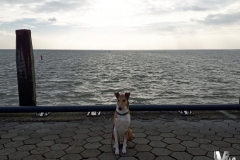 2019-03-02-Bild-31