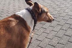 2019-03-02-Bild-35