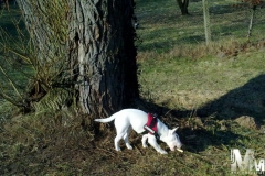 2010-03-09-Bild-11