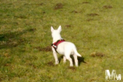 2010-03-09-Bild-16