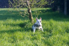 2010-04-17-Bild-05
