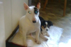 2010-11-27-Bild-02