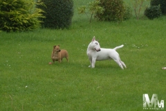 2011-August-003