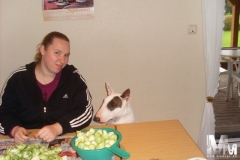 2011-August-013