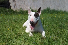 2012-05-01-Bild-02
