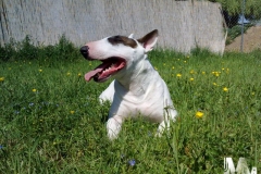 2012-05-01-Bild-03