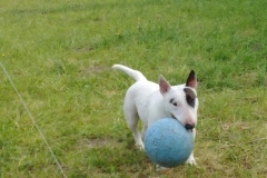 2012-05-01-Bild-12
