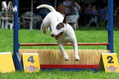 2012-07-01-Bild-04