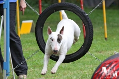 2012-07-01-Bild-07