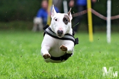 2012-07-01-Bild-53