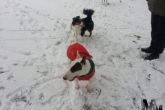 2012-12-09-Bild-25