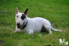 2013-06-23-Bild-37