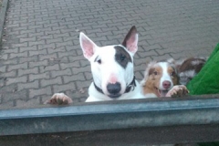 2014-02-19-Bild-01
