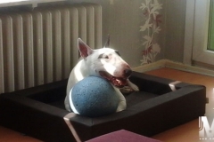 2015-04-06-Bild-01