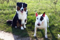 2016-04-11-Bild-11