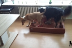 2016-12-23-Bild-01