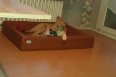 2016-12-23-Bild-15