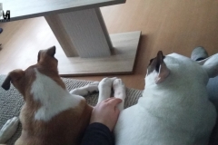 2016-12-24-Bild-02