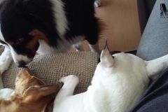 2016-12-24-Bild-06