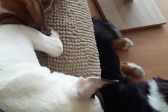 2016-12-24-Bild-07