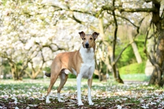 2019-04-14-Bild-Logo-04