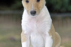 2020-09-13-Vanilla-King-06