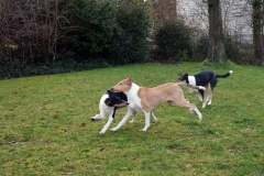 2020-12-30-Bild-06-kleiner