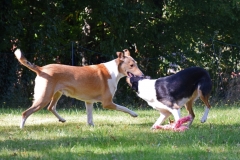 2021-09-25-Bild-11-kleiner