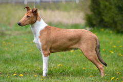 Nikko-6months