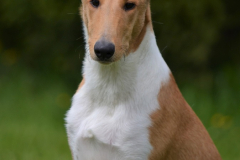 Nikko-6months3