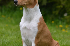 Nikko-6months5
