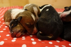 Gruppe-Tag-01-Bild-03