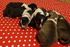 Gruppe-Tag-01-Bild-05