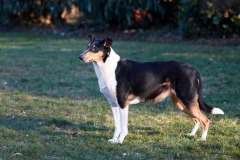 Olga-Tag44-Bild-01