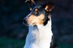 Olga-Tag44-Bild-02