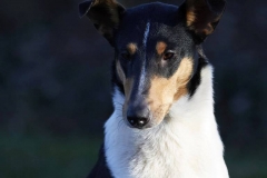 Olga-Tag44-Bild-03